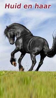 Stassek DIVERSIT Equistar Equilux Equistep Faulpelz LazyMan 