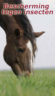 Stassek DIVERSIT Equistar Equilux Equistep Faulpelz LazyMan 