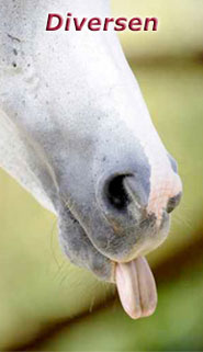 Stassek DIVERSIT Equistar Equilux Equistep Faulpelz LazyMan 